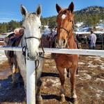 Sombrero Stables