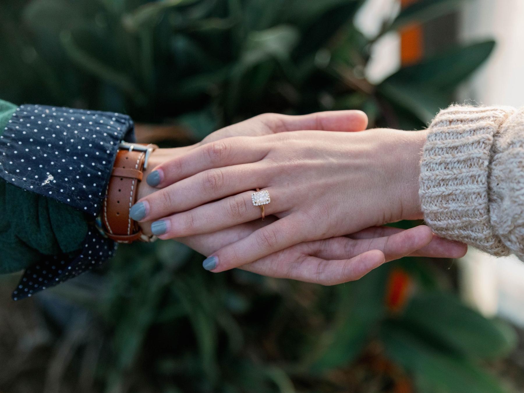 The Wedding Website of Analee Reed and Bryan Rendon