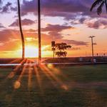Ala Moana Beach