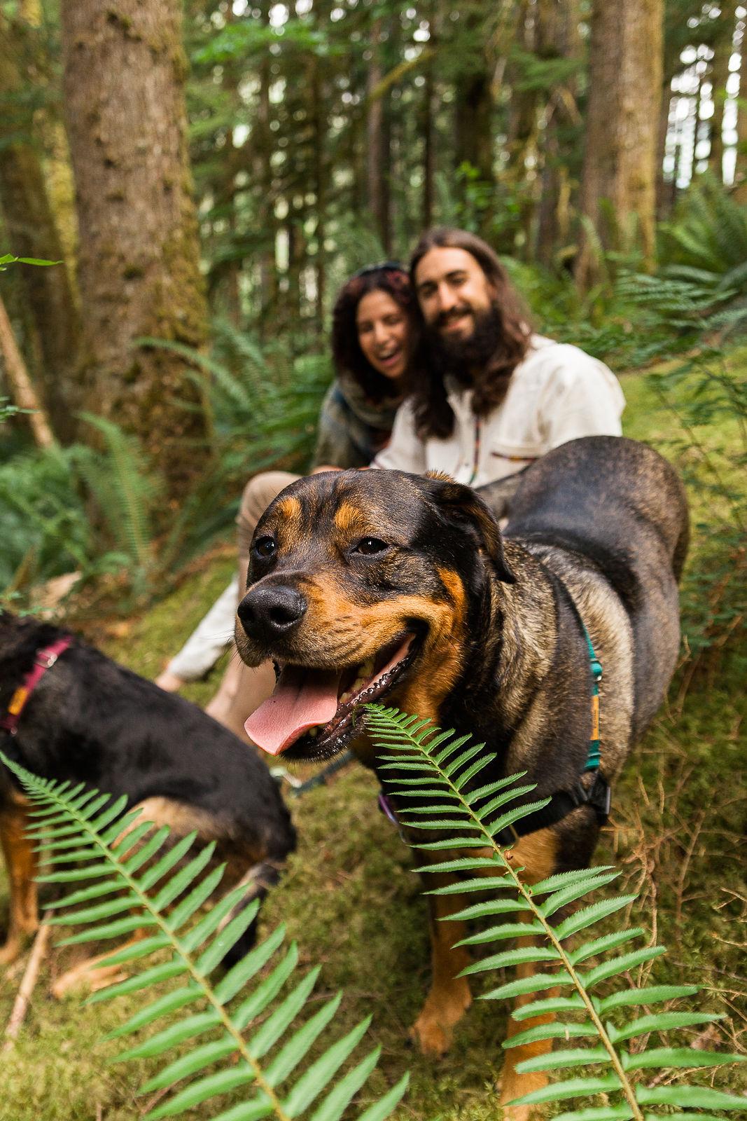 The Wedding Website of Tina Lugo and Pete Temrowski