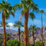 Things to do in Palm Springs