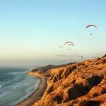 Torrey Pines State Natural Reserve