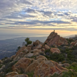 Rocky Pine Ridge Trail