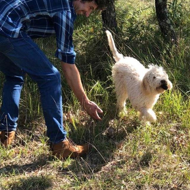 Truffle hunting in the Chianti Hills