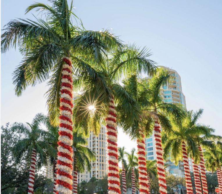 The Wedding Website of Julianne Wilhelm and Harrison Ralph