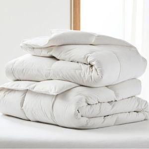 Duvet Insert & Cover