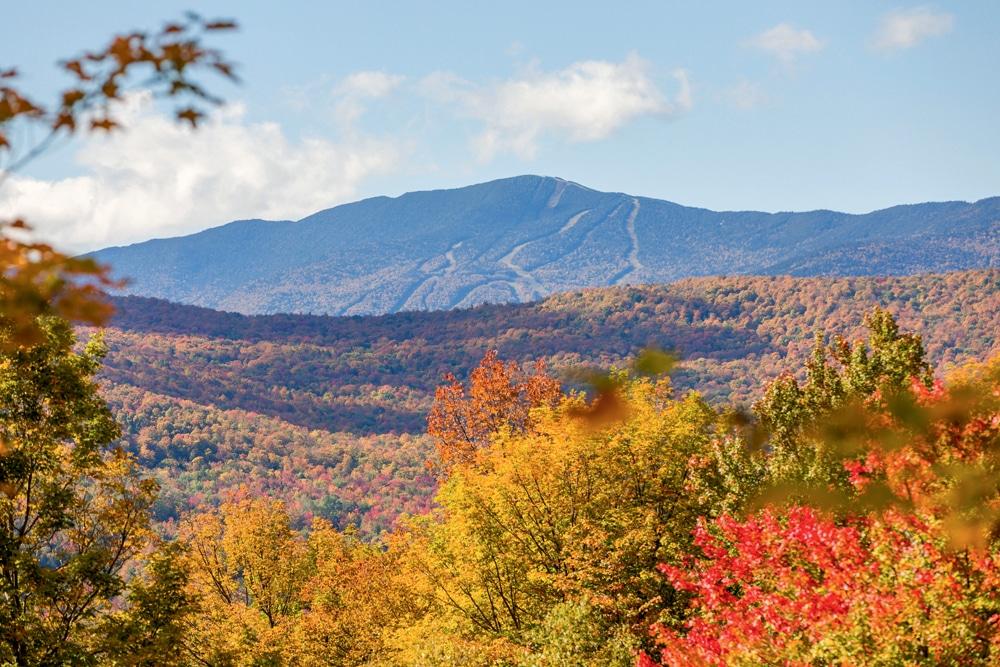 The Wedding Website of Morgan Mast and Myles Aja