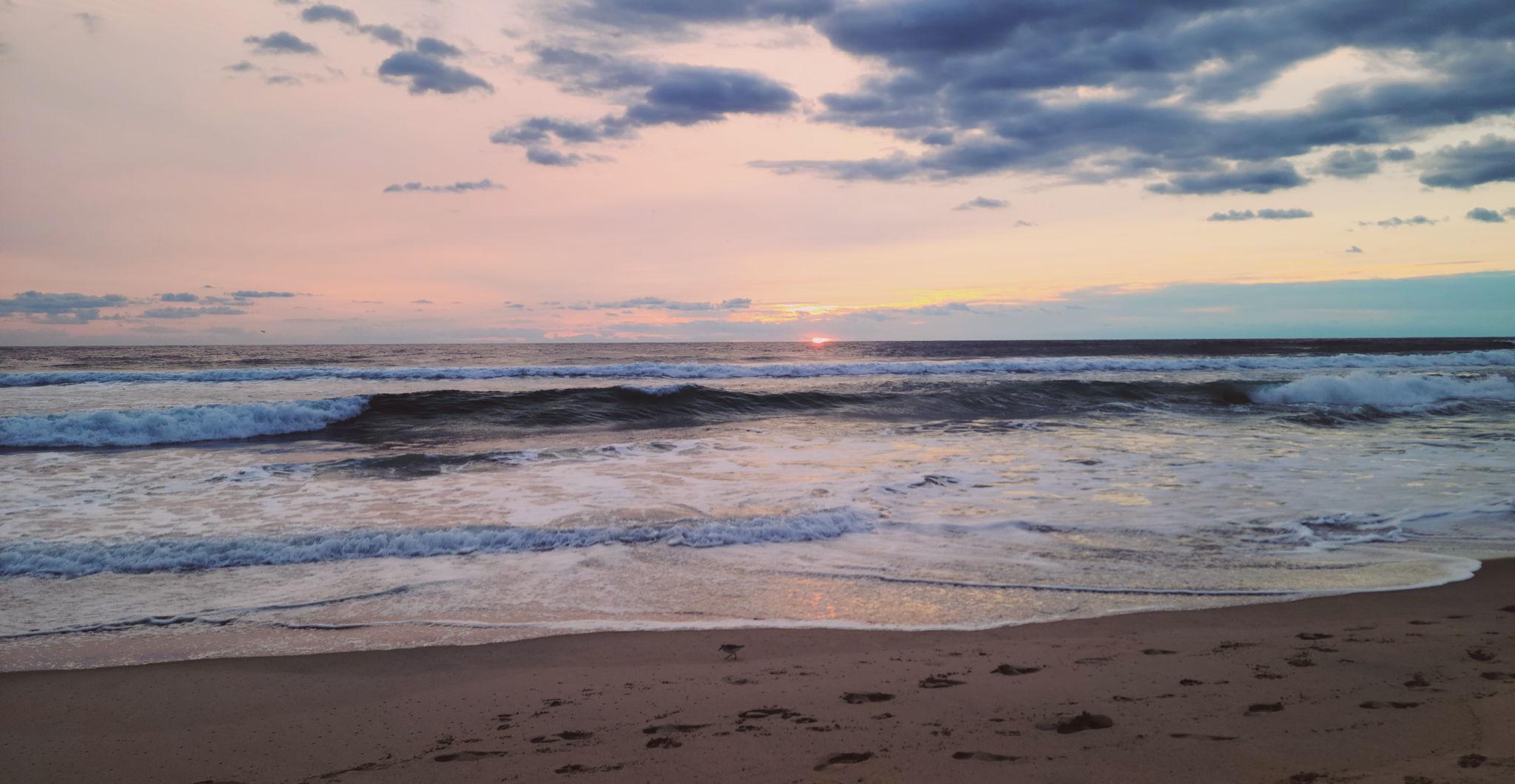 The Wedding Website of Dola Leslie Young and Cory Young Waters