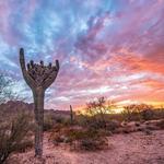 San Tan Mountain Regional Park