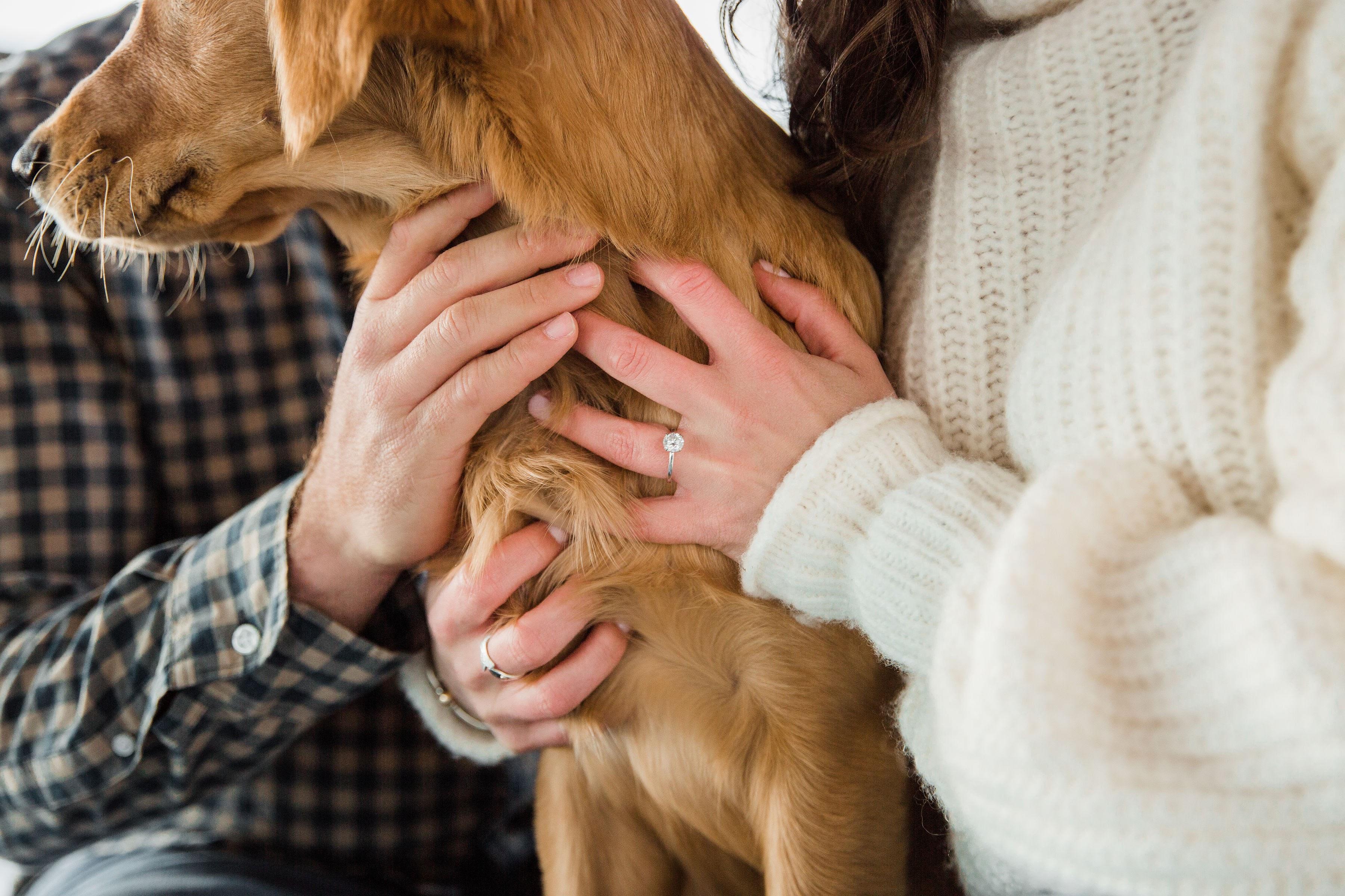 The Wedding Website of Colby Major and Bethany Levy