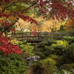 Portland Japanese Garden