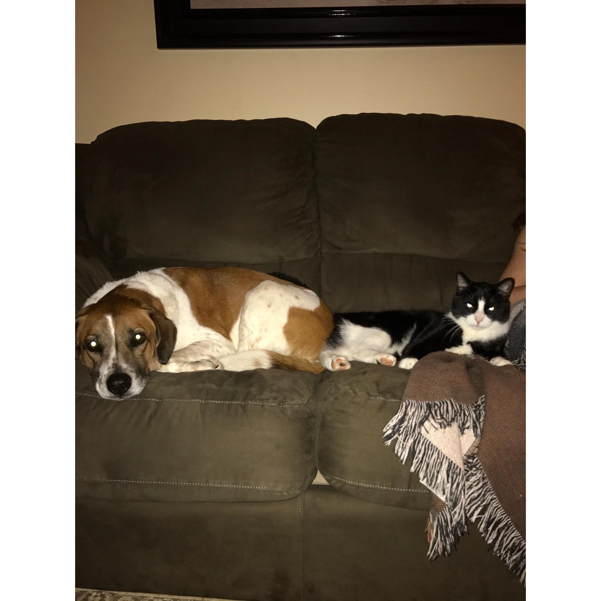 Dutch and Kevin, watchin' TV