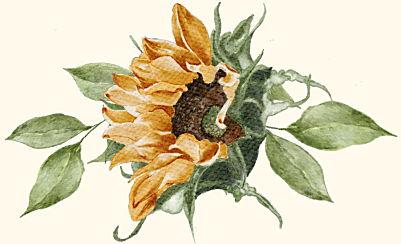 The Wedding Website of Jacob Bixby and Naomi Frohloff