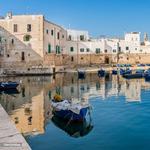 Monopoli
