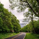 Shenandoah National Park
