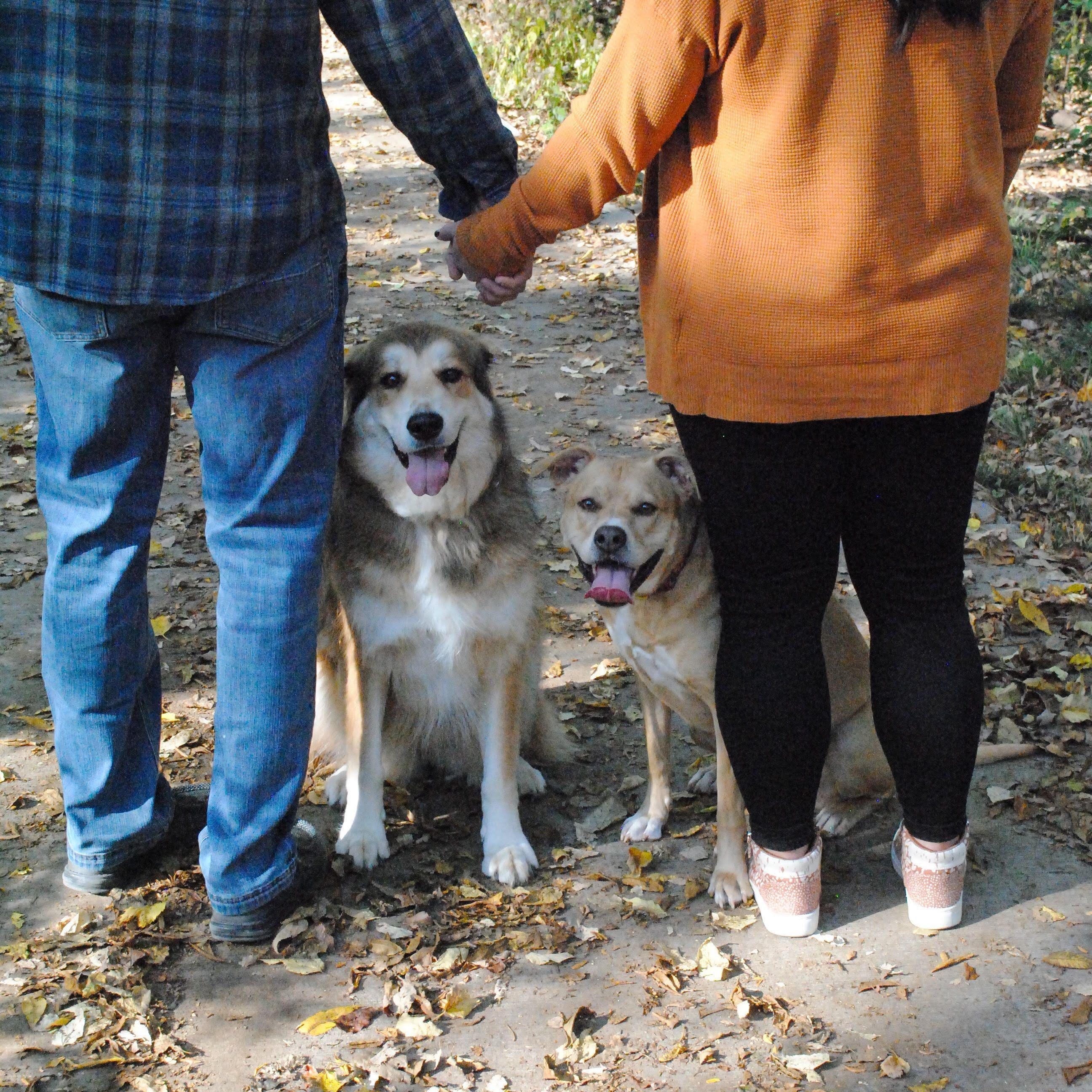 Hero Slideshow Image 5