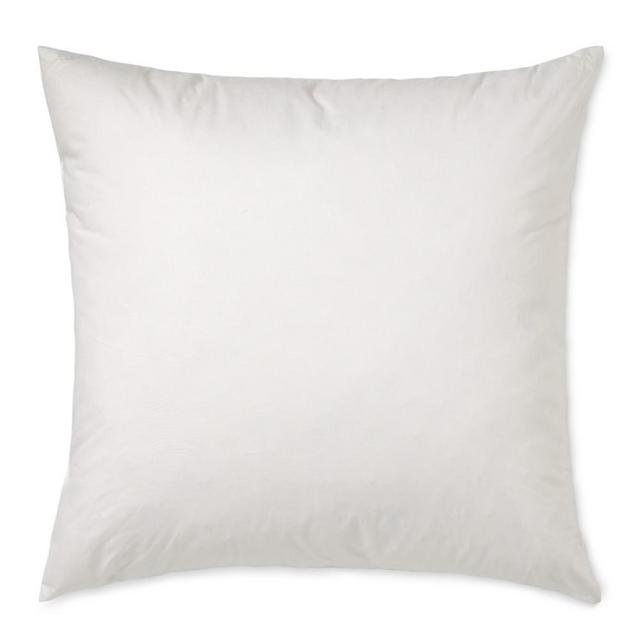 Williams Sonoma Decorative Pillow Insert, 22" X 22"