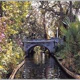 Boat Tours