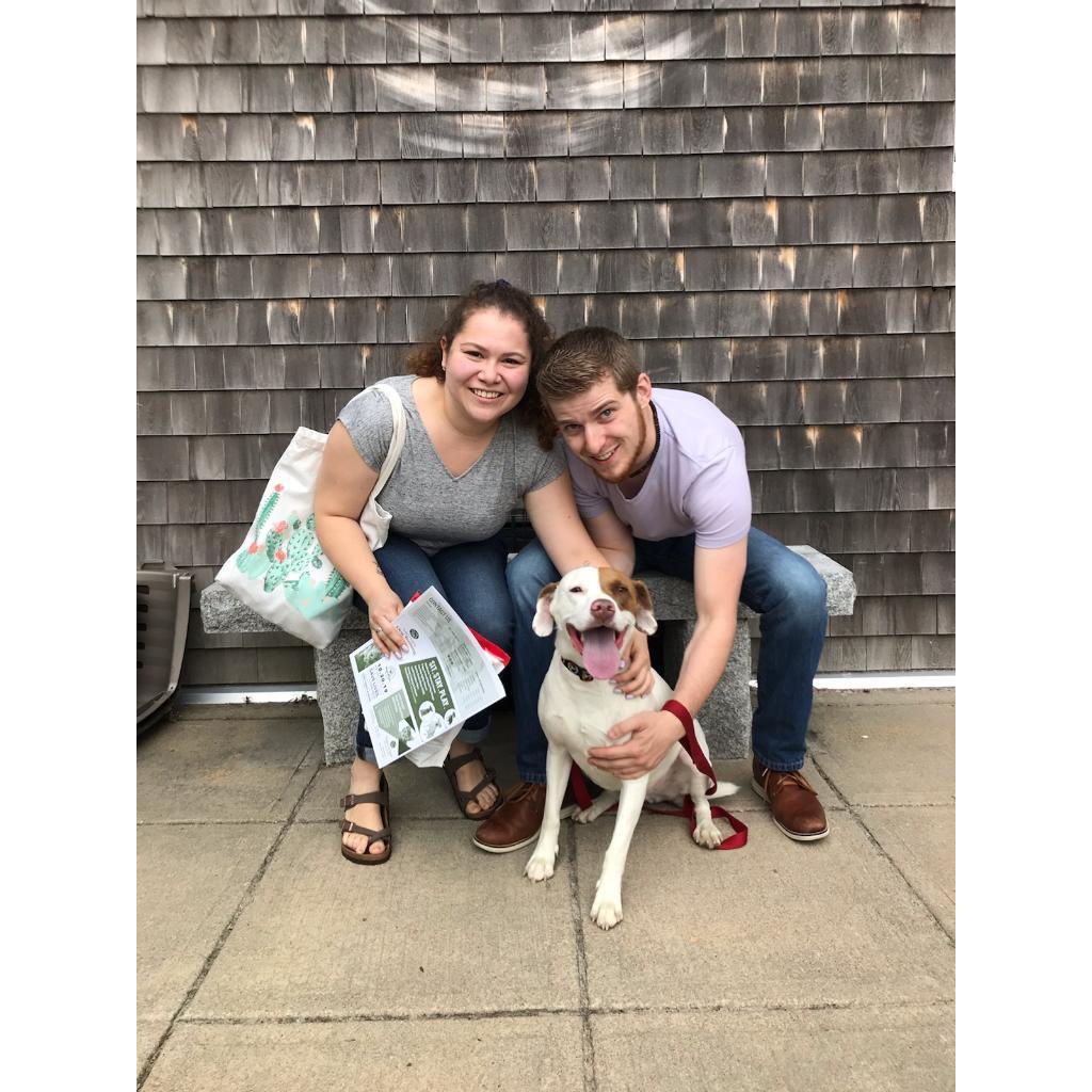 The day we adopted Bo, June 30, 2020