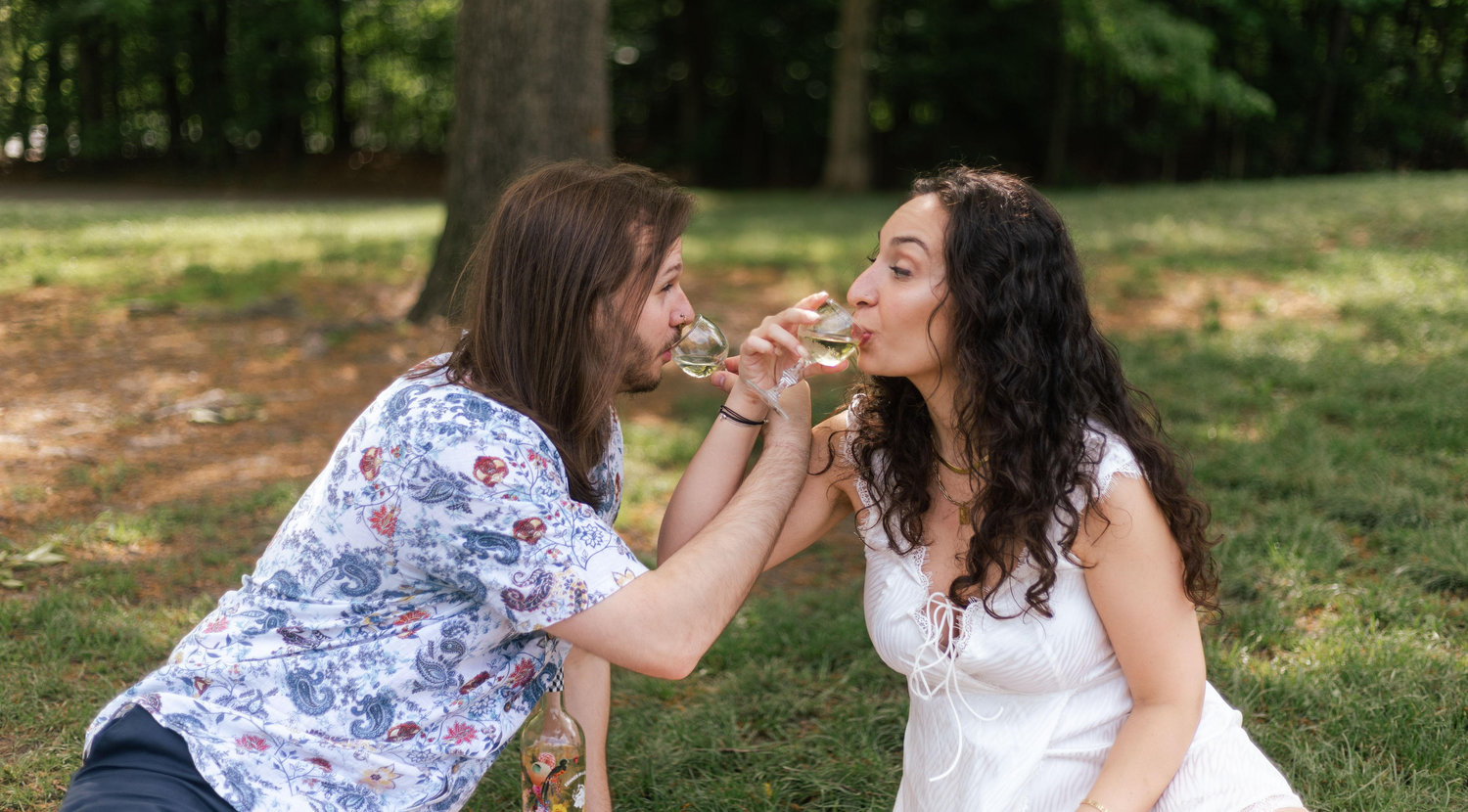 The Wedding Website of Avishua Stein and Nina Kozak