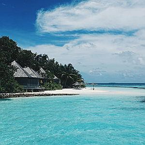 Honeymoon Fund