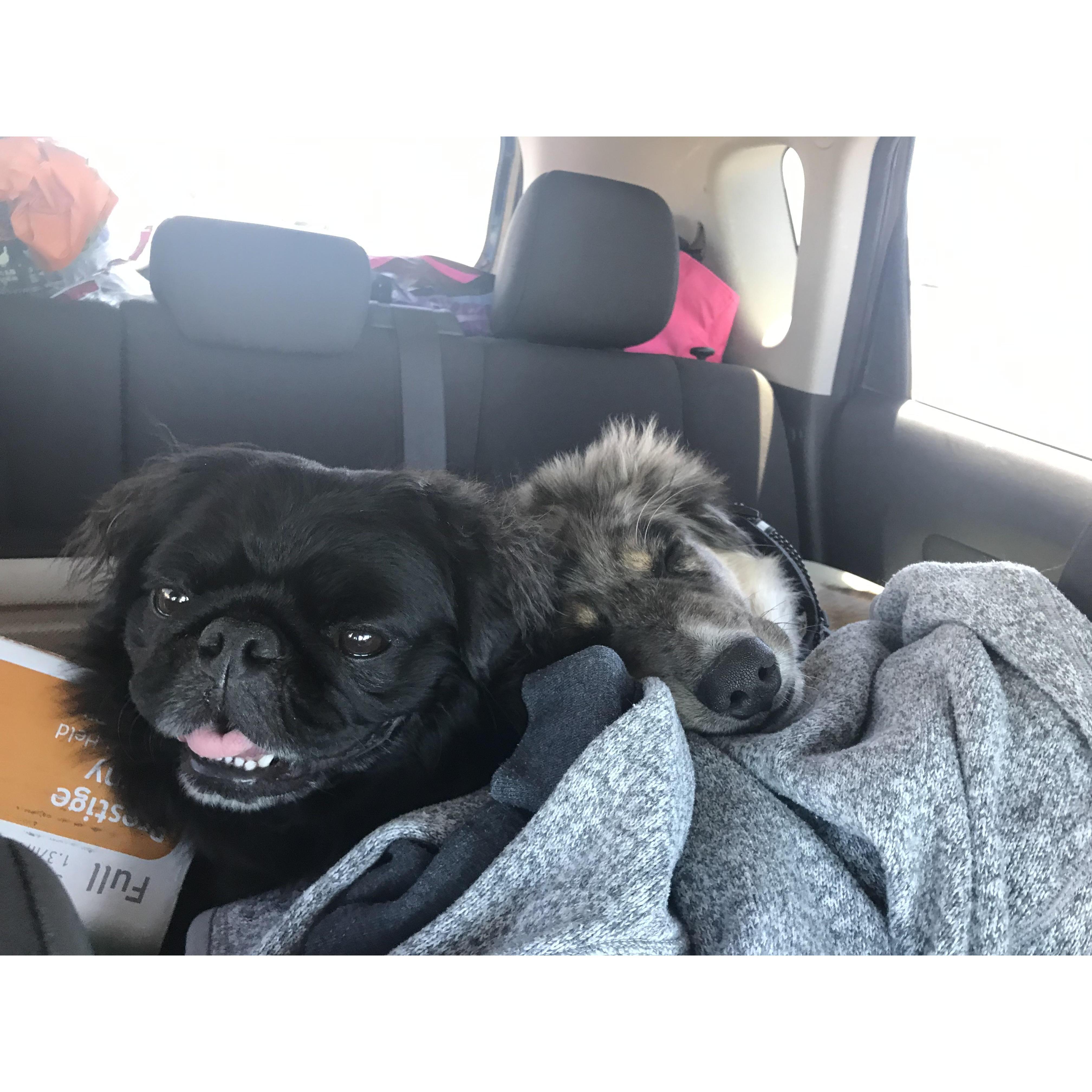 On the road to more adventures!