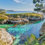 Point Lobos State Natural Reserve