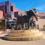 Blackhawk Museum