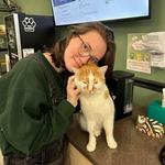 Treetops Kitty Cafe - Cat Adoption and Visitation Center