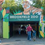 Brookfield Zoo Chicago