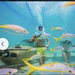 Sea Trek Underwater Helmet Walk at De Palm Island
