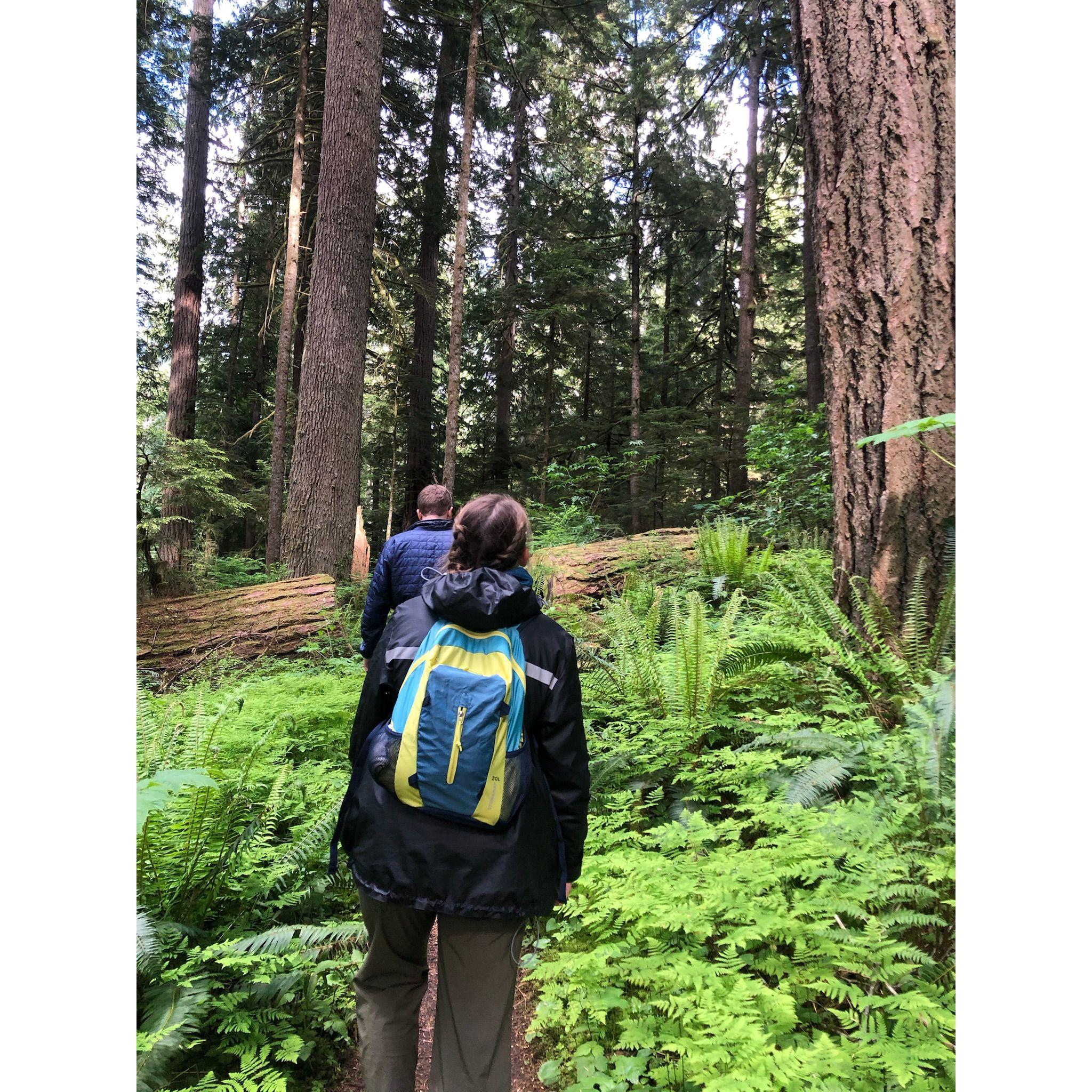 Hiking in the Hoh Rainforest