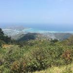 Kuliouou Ridge Hike
