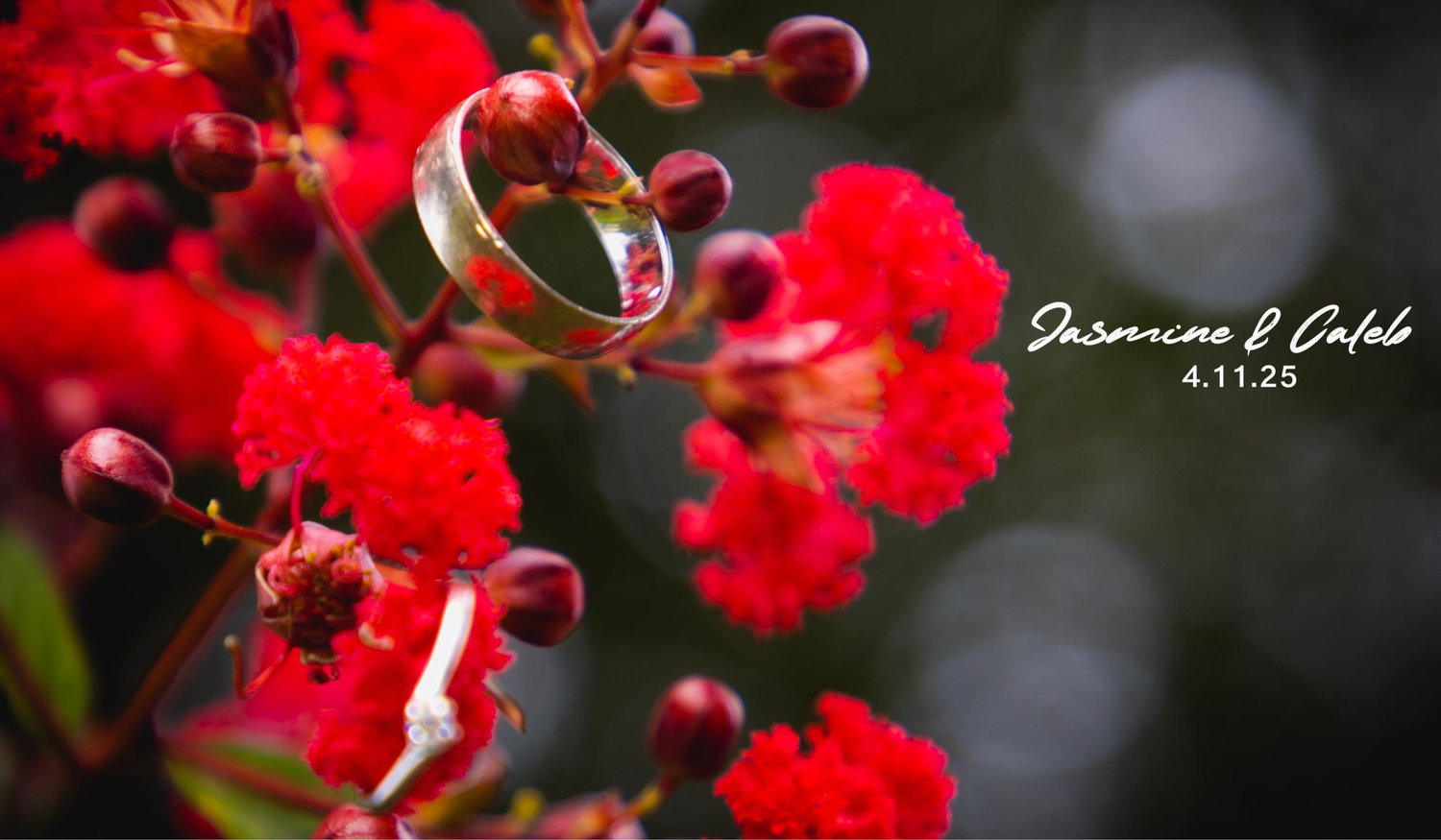 Footer image