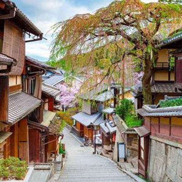 Japan Honeymoon - Private City Tour - Tokyo & Kyoto