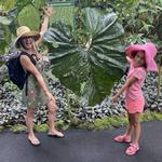 Hawai‘i Tropical Botanical Garden