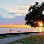 Mandeville Lakefront