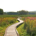 Appalachian National Scenic Trail