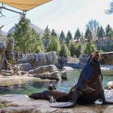 Omaha's Henry Doorly Zoo and Aquarium