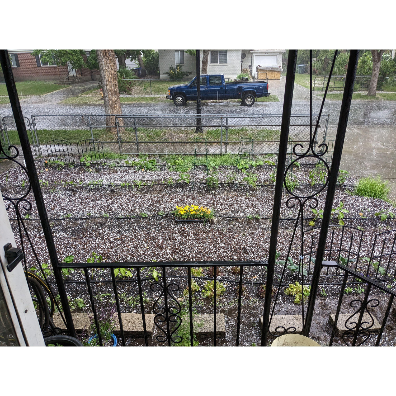Hail on the garden :(