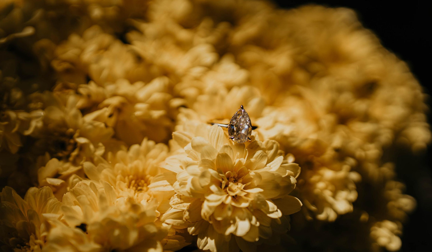 The Wedding Website of Ashlee Barreiro and Frank Swain