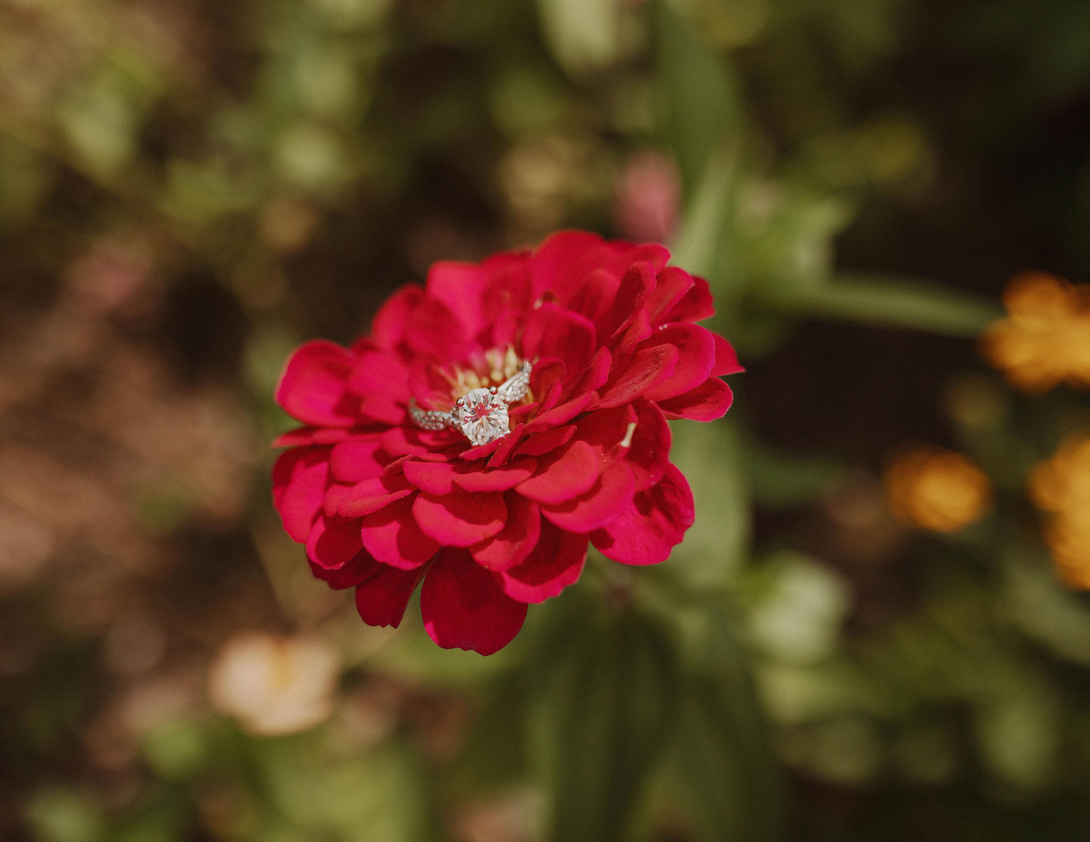 The Wedding Website of Caitlin Ryan and Jeremy Williams