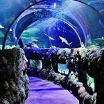SEA LIFE Kansas City