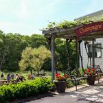 Pugliese Vineyards