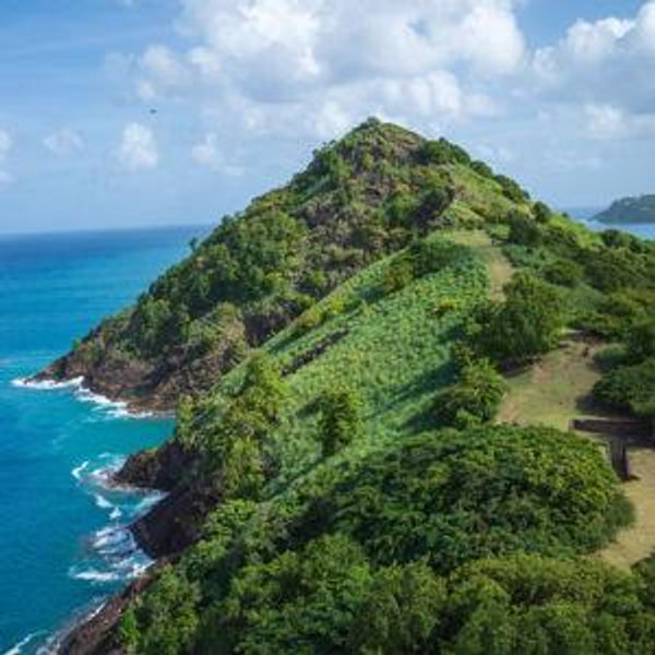 Honeymoon: National Park Hiking Entrance Tickets St. Lucia