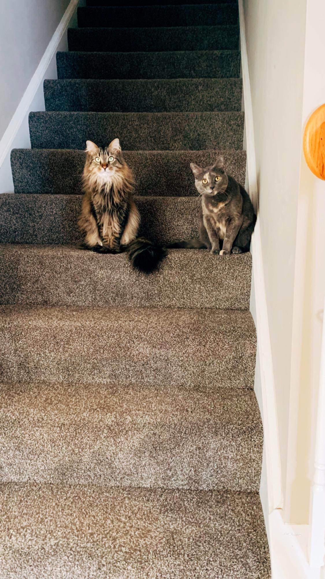 Hanging out in our new home!