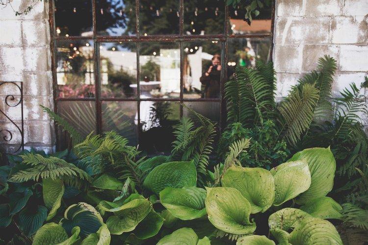 The Wedding Website of Kara Natzel and Jacob Seifert