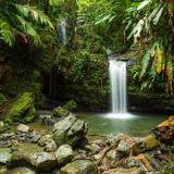 EL YUNQUE NATIONAL FOREST