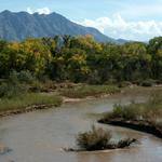 Take a walk in the Bosque
