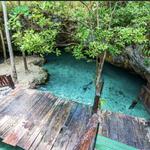Swim in the Cenotes